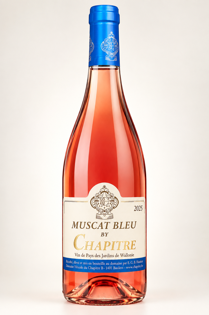 Domaine du Chapitre, Muscat Bleu Rosé, 2025, IGP Vin de Pays des Jardins de Wallonie, Belgique, 0.75 Rosé